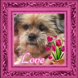 Meet your Posher, Cynthia